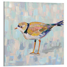 Magnettafel Seeregenpfeifer IV