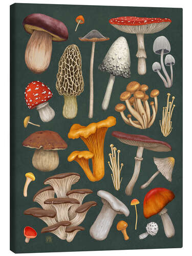 Canvas print Mushrooms