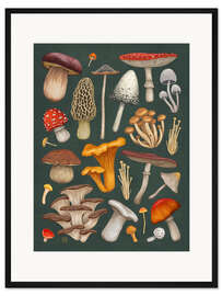Gerahmter Kunstdruck Pilze