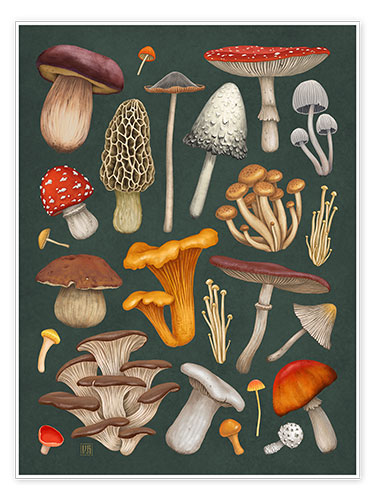 Poster Mushrooms