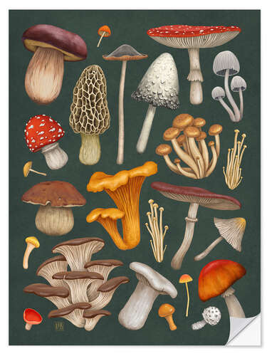 Sticker mural Champignons