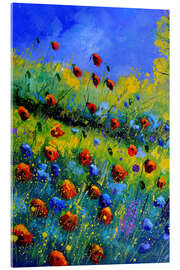 Acrylglasbild Mohnblumen und Mohnblumen