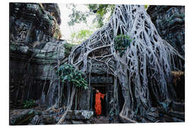 Aluminium print Temple in the jungle, Angkor