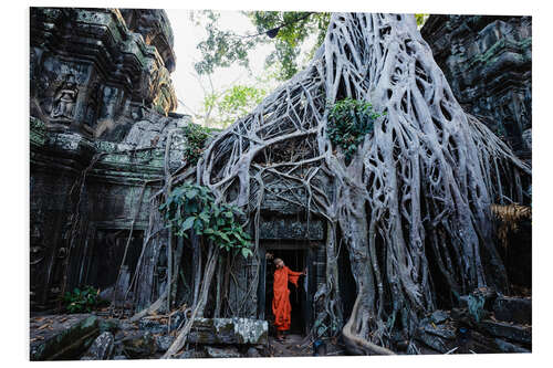 Cuadro de PVC Templo en la jungla, Angkor