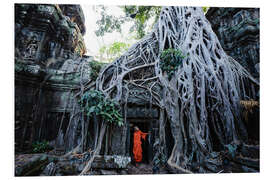 Cuadro de PVC Templo en la jungla, Angkor