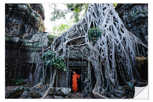 Naklejka na ścianę Temple in the jungle, Angkor