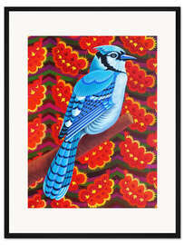 Gerahmter Kunstdruck Blauhäher