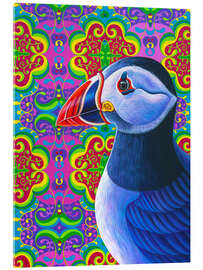 Acrylic print Puffin