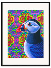 Framed art print Puffin