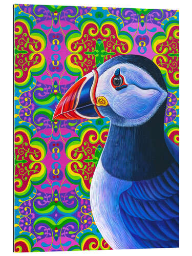 Gallery print Puffin