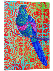 Aluminium print Blue parrot