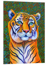 Gallery print Tiger