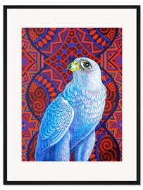 Gerahmter Kunstdruck Graufalke