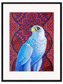 Framed art print Gray hawk