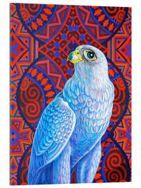 Gallery print Gray hawk