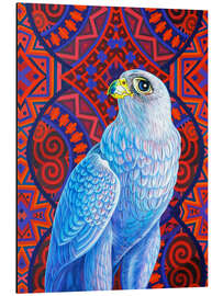 Magnettafel Graufalke