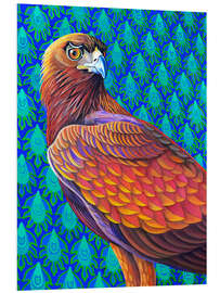 Foam board print Golden Eagle