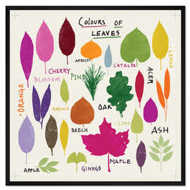 Gerahmter Kunstdruck Farben von Blättern