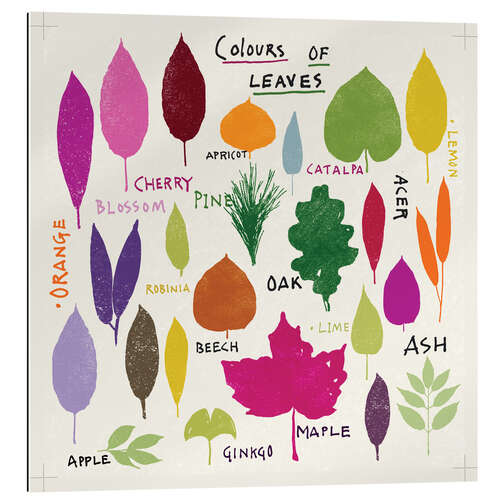 Gallery print Colors of leaves