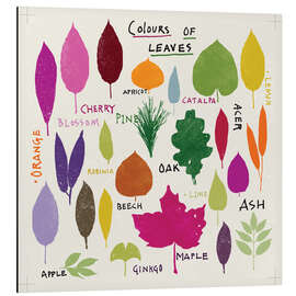 Magnettafel Farben von Blättern