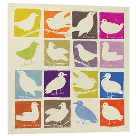 Foam board print Pop Art Birds