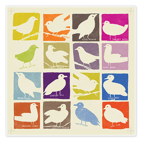 Poster Bright birds