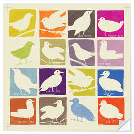 Selvklebende plakat Pop Art Birds