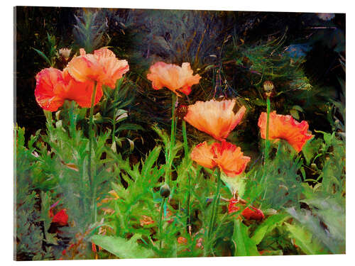 Acrylic print Peach poppies