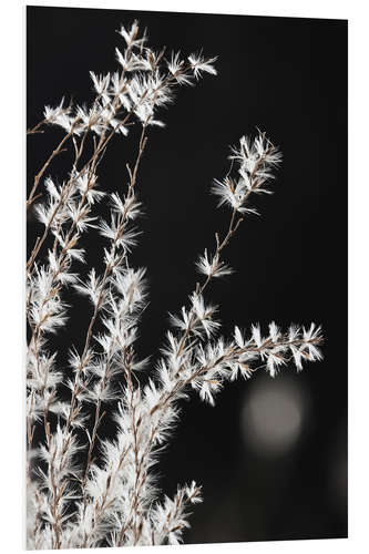 Foam board print Grasses