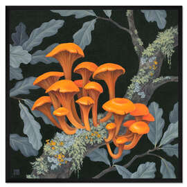 Gerahmter Kunstdruck Pilze