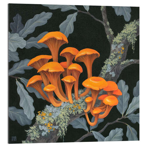 Gallery print Fungi