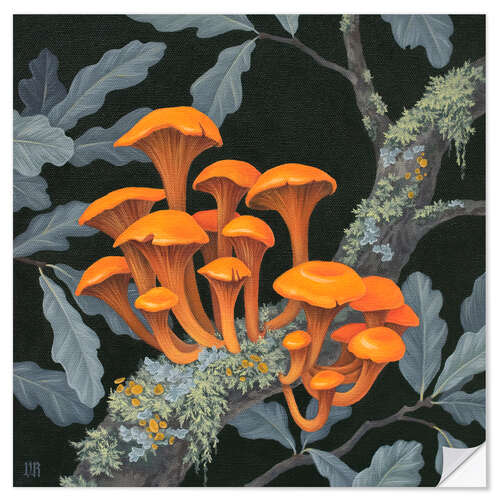 Sisustustarra Fungi