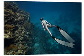 Acrylglas print Freediver swam underwater over a coral reef