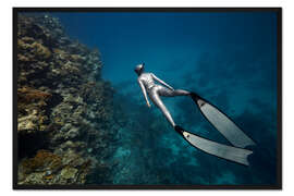 Gerahmter Kunstdruck Freitaucher unter Wasser über einem Korallenriff