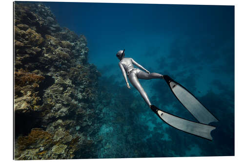 Quadro em plexi-alumínio Freediver nadou debaixo d'água sobre um recife de coral