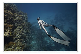 Poster Freitaucher unter Wasser über einem Korallenriff