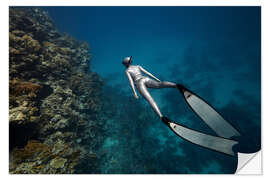 Selvklebende plakat Freediver swam underwater over a coral reef