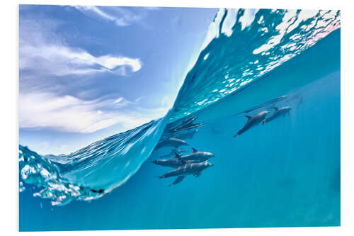 Foam board print Dolphins group and blue wave