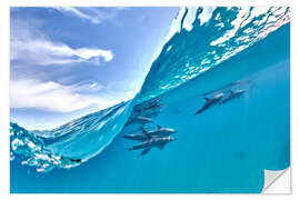 Vinilo para la pared Grupo de delfines y ola azul.