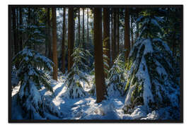 Gerahmter Kunstdruck Sonne im Winterwald