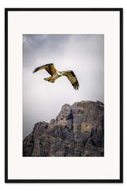 Gerahmter Kunstdruck Adler im Flug