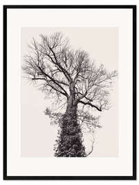 Framed art print The black tree