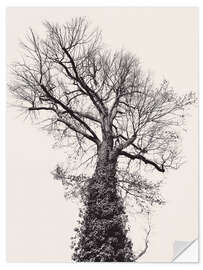 Selvklebende plakat The black tree