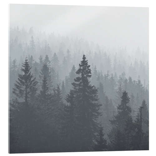 Acrylic print Forest in the fog