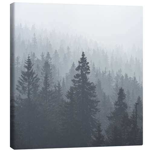 Leinwandbild Wald im Nebel