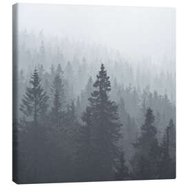 Canvas print Forest in the fog