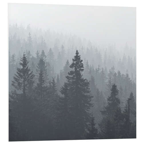 Foam board print Forest in the fog