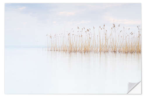 Selvklæbende plakat Reeds on Lake Garda