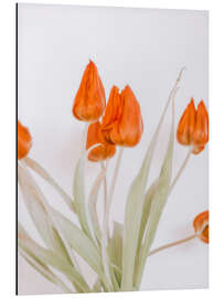 Tableau en aluminium Tulipe rouge