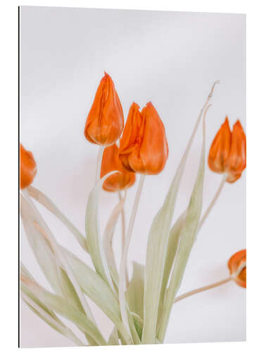 Galleriprint Red Tulip